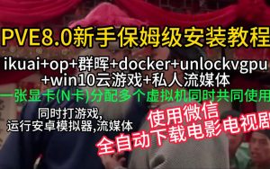 PVE8.0保姆级AIO安装教程NASTOOLS使用微信推送教程，无需公网IPV4和固定IP-小陈折腾日记