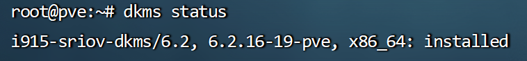 图片[1]-双网口N100主机安装PVE8.0,IKUAI,OP,黑裙,私人流媒体,WIN11显卡SRIOV OR 显卡直通HDMI输出画面-小陈折腾日记