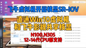 飞牛nas开启核显SRIOV直通,飞牛影视,虚拟机共享核显,N100,N305,12-14代CPU通用-小陈折腾日记