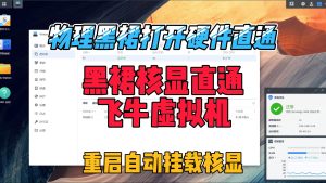 物理黑群晖也可以开启硬件直通了,创建飞牛虚拟机,调用核显-小陈折腾日记
