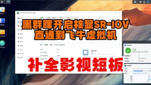 物理黑群晖SA6400开启核显SR-IOV直通飞牛NAS,Win虚拟机-小陈折腾日记