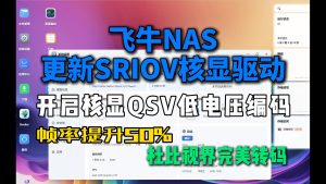 飞牛NAS虚拟机更新sriov核显驱动,开启QSV低电压编码帧率提升50%+-小陈折腾日记